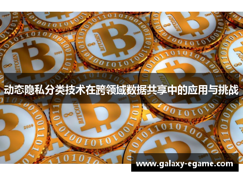 动态隐私分类技术在跨领域数据共享中的应用与挑战